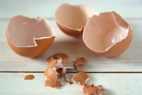 Vỏ trứng được nhiều bà nội trợ sử dụng để đánh bóng xoong, nồi